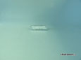 00-05 Lexus E1 IS200 / IS300 (Altezza) &mdash; Clear LED Front Side-Marker